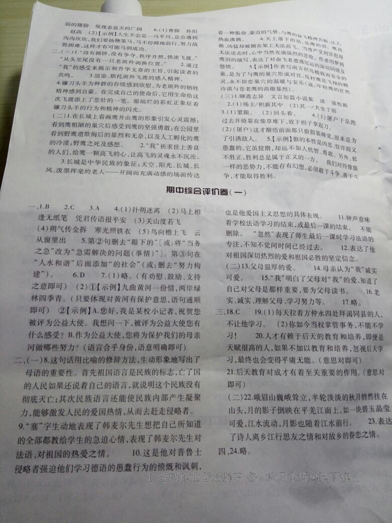 2015年基礎(chǔ)訓(xùn)練七年級語文下冊人教版僅限河南省使用大象出版社 第145頁