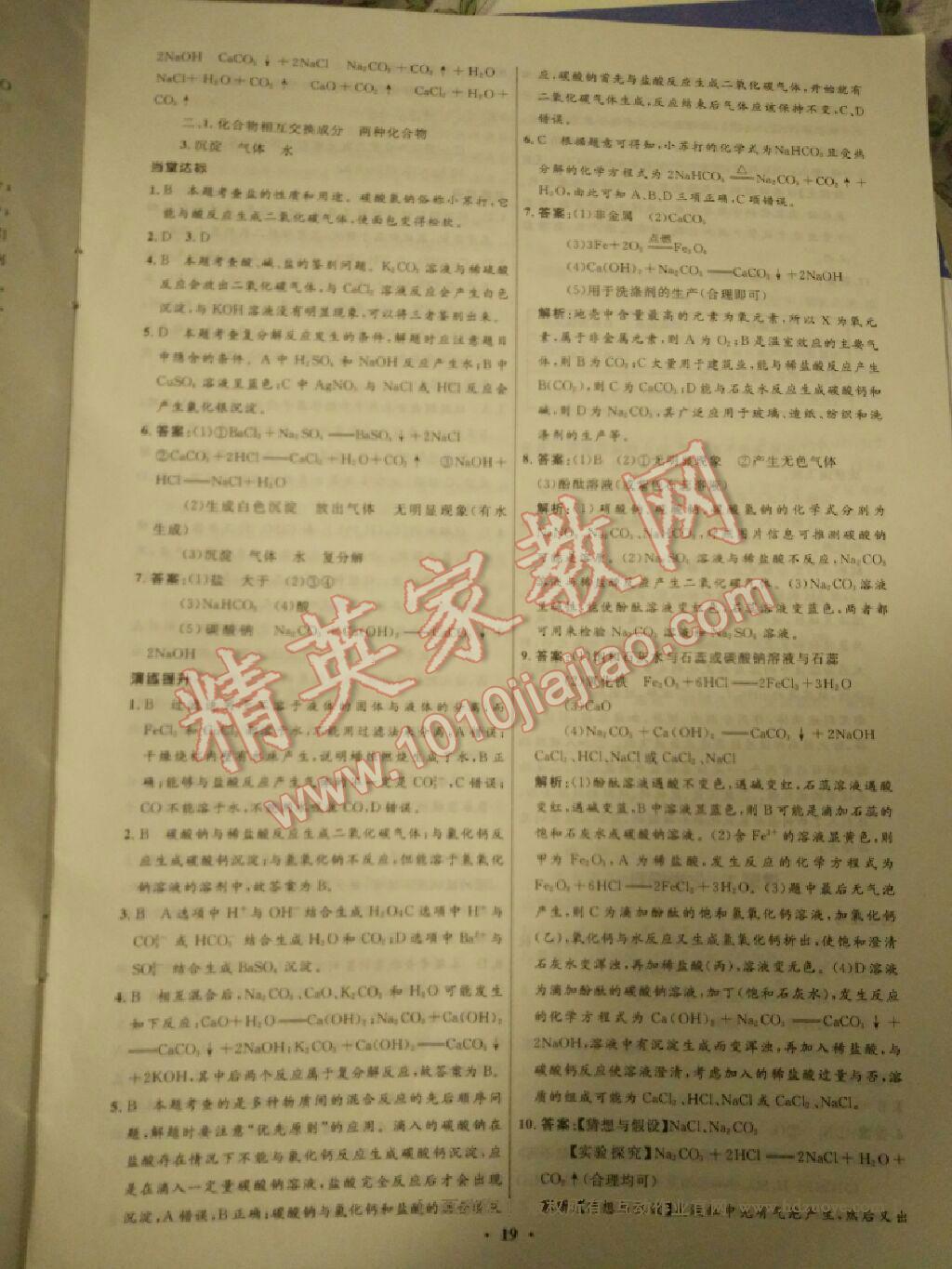 2016年同步學(xué)習(xí)目標(biāo)與檢測(cè)九年級(jí)化學(xué)下冊(cè)人教版 第19頁