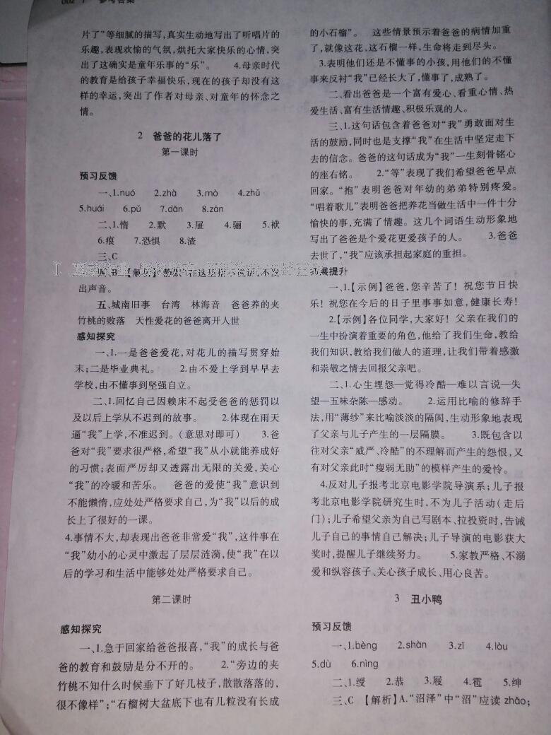 2015年基礎(chǔ)訓(xùn)練七年級(jí)語文下冊(cè)人教版僅限河南省使用大象出版社 第213頁