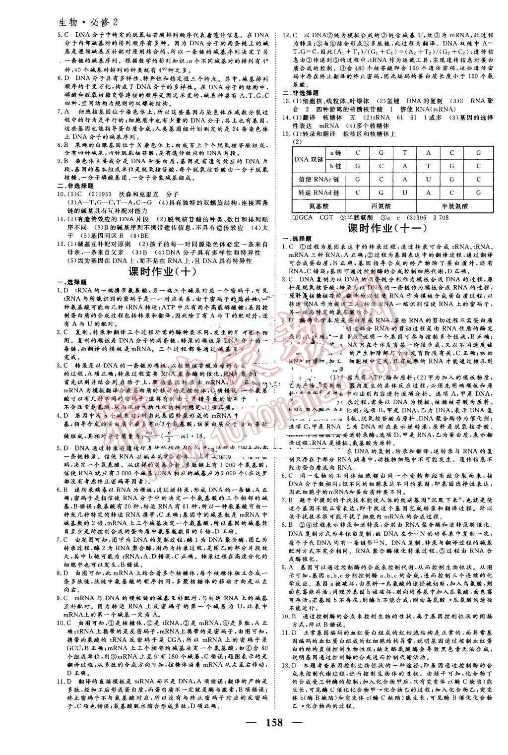 2016年優(yōu)化探究同步導(dǎo)學(xué)案生物必修2人教版 第16頁(yè)