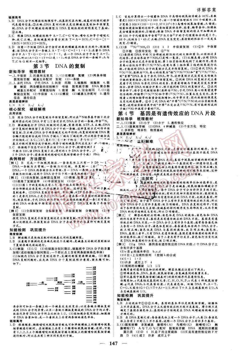 2016年優(yōu)化探究同步導(dǎo)學(xué)案生物必修2人教版 第5頁