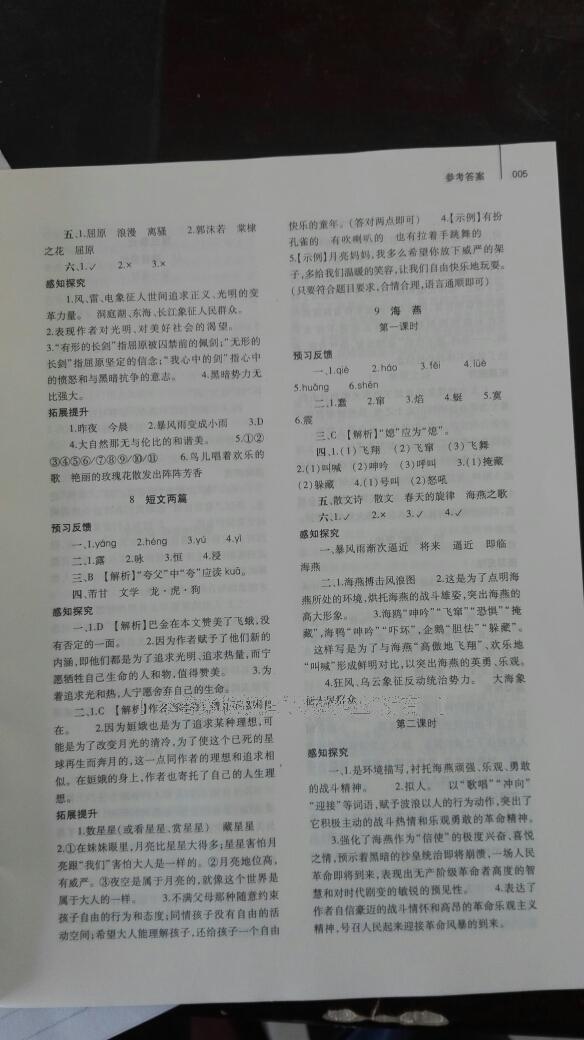 2014年基礎(chǔ)訓(xùn)練八年級(jí)語(yǔ)文下冊(cè)人教版 第173頁(yè)