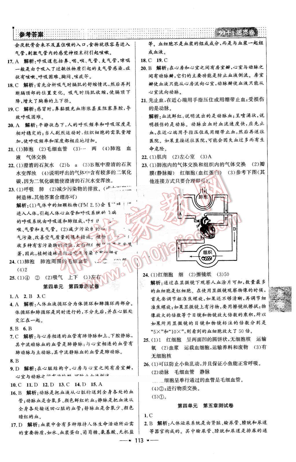 2016年99加1活頁(yè)卷七年級(jí)生物下冊(cè)人教版 第21頁(yè)