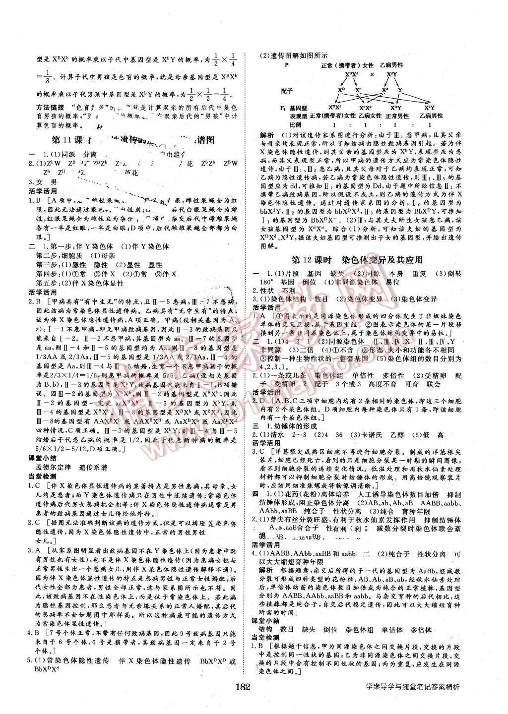 2016年步步高學(xué)案導(dǎo)學(xué)與隨堂筆記生物必修2蘇教版 第6頁