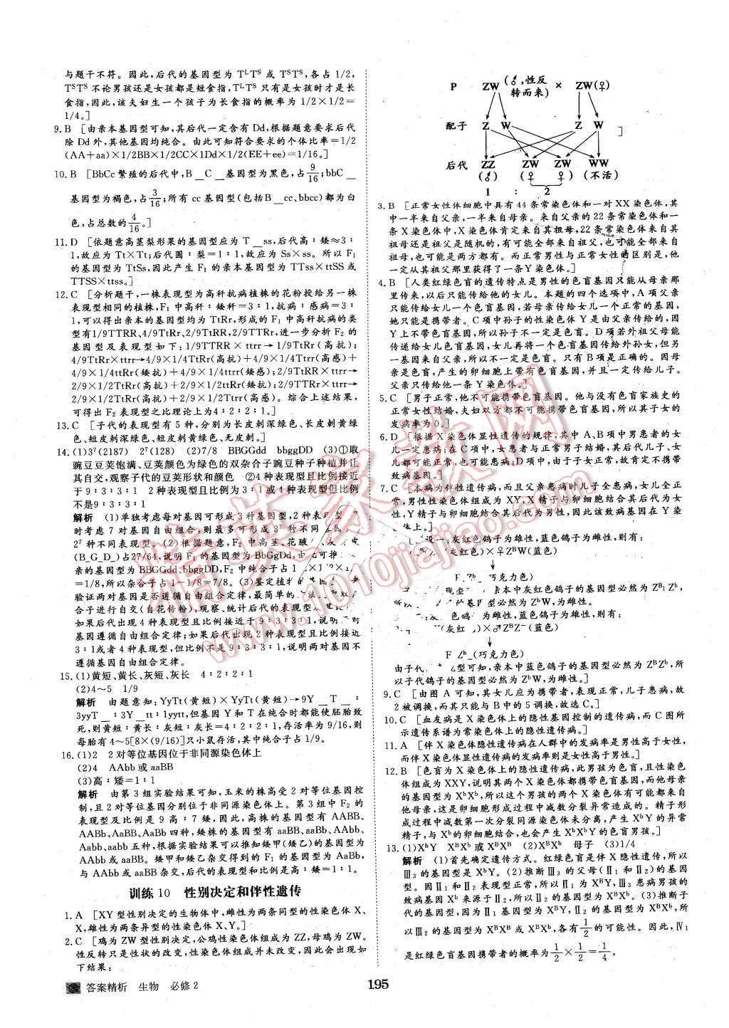 2016年步步高學(xué)案導(dǎo)學(xué)與隨堂筆記生物必修2蘇教版 第19頁