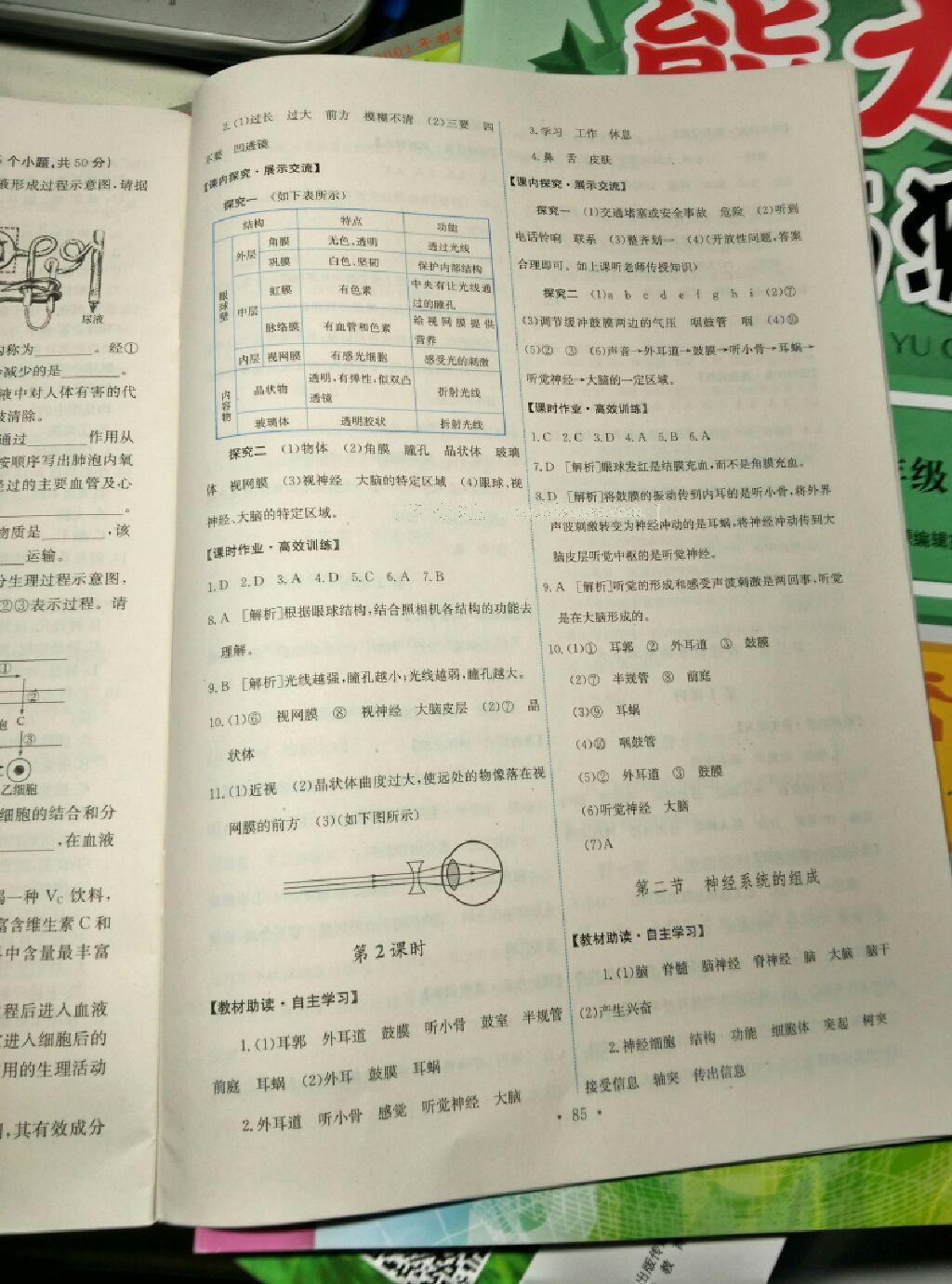 2016年能力培養(yǎng)與測(cè)試七年級(jí)生物學(xué)下冊(cè)人教版T 第27頁(yè)