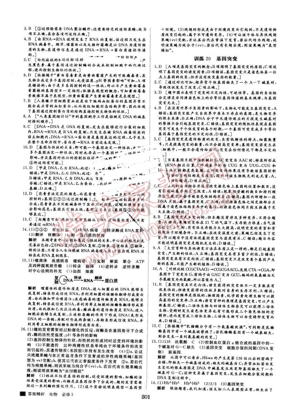 2016年步步高學案導學與隨堂筆記生物必修2蘇教版 第25頁