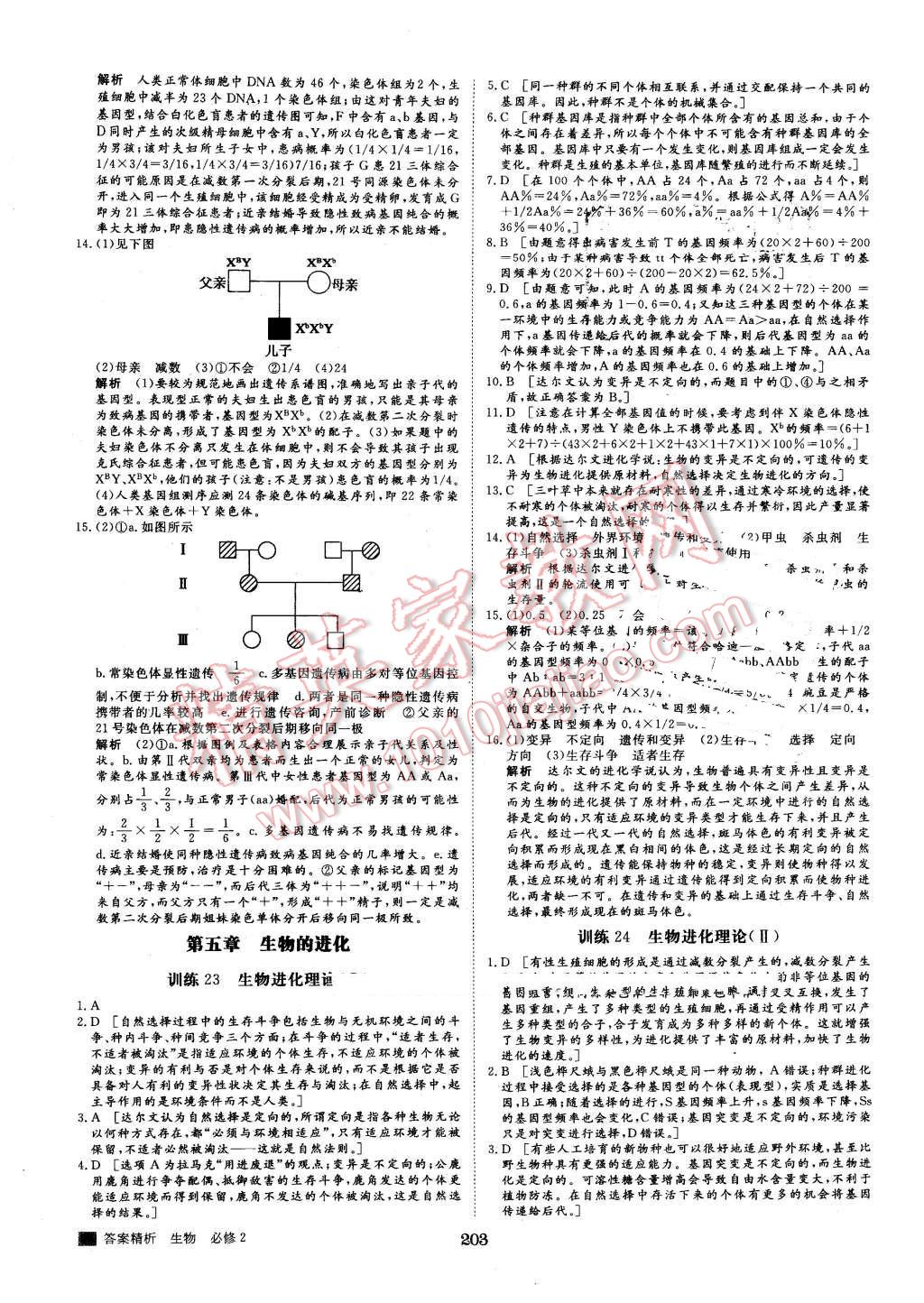 2016年步步高學(xué)案導(dǎo)學(xué)與隨堂筆記生物必修2蘇教版 第27頁(yè)