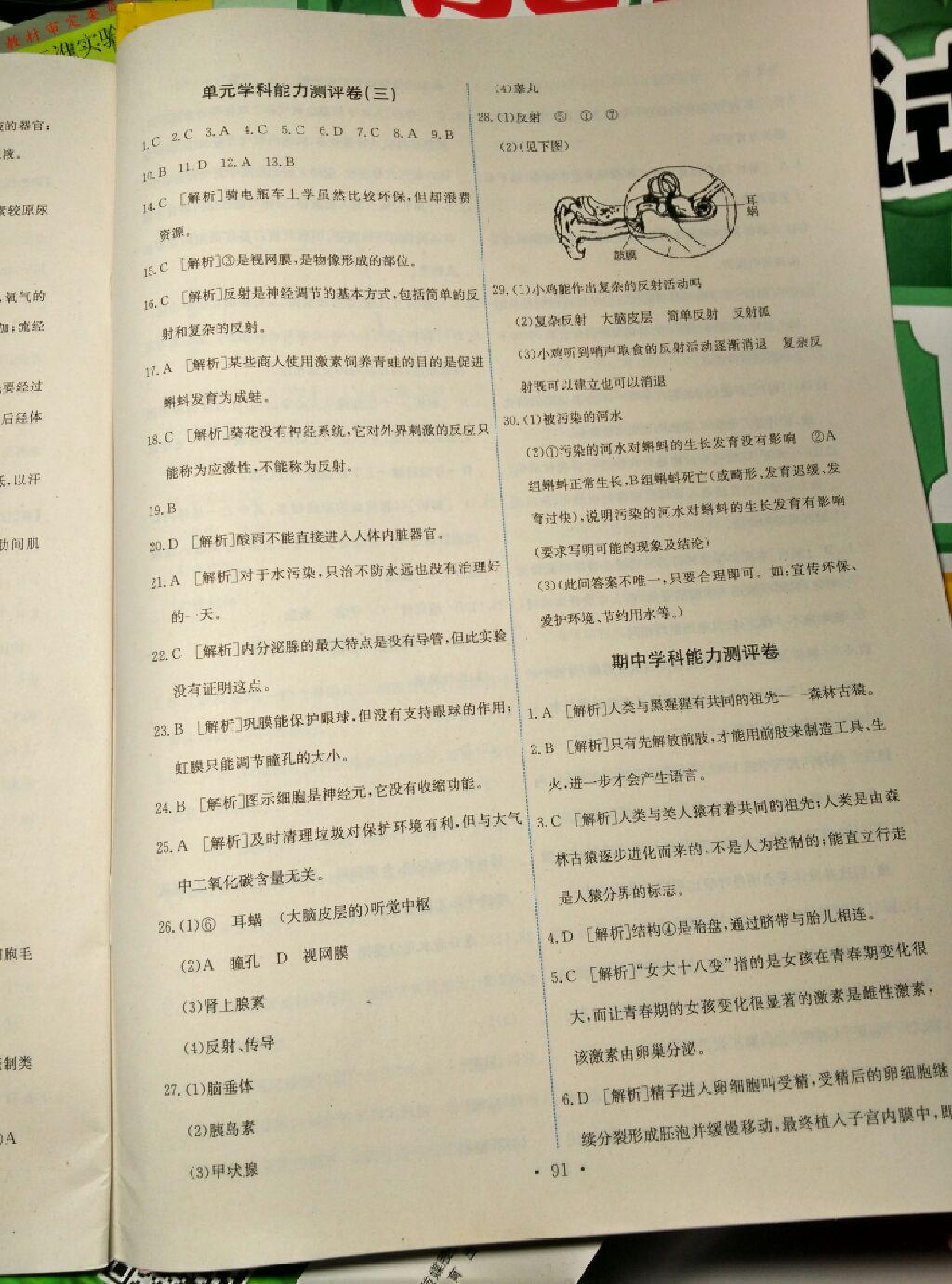 2016年能力培養(yǎng)與測(cè)試七年級(jí)生物學(xué)下冊(cè)人教版T 第33頁(yè)