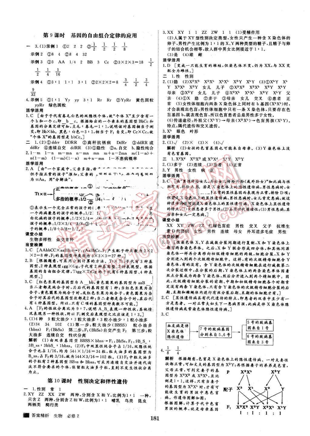 2016年步步高學(xué)案導(dǎo)學(xué)與隨堂筆記生物必修2蘇教版 第5頁(yè)