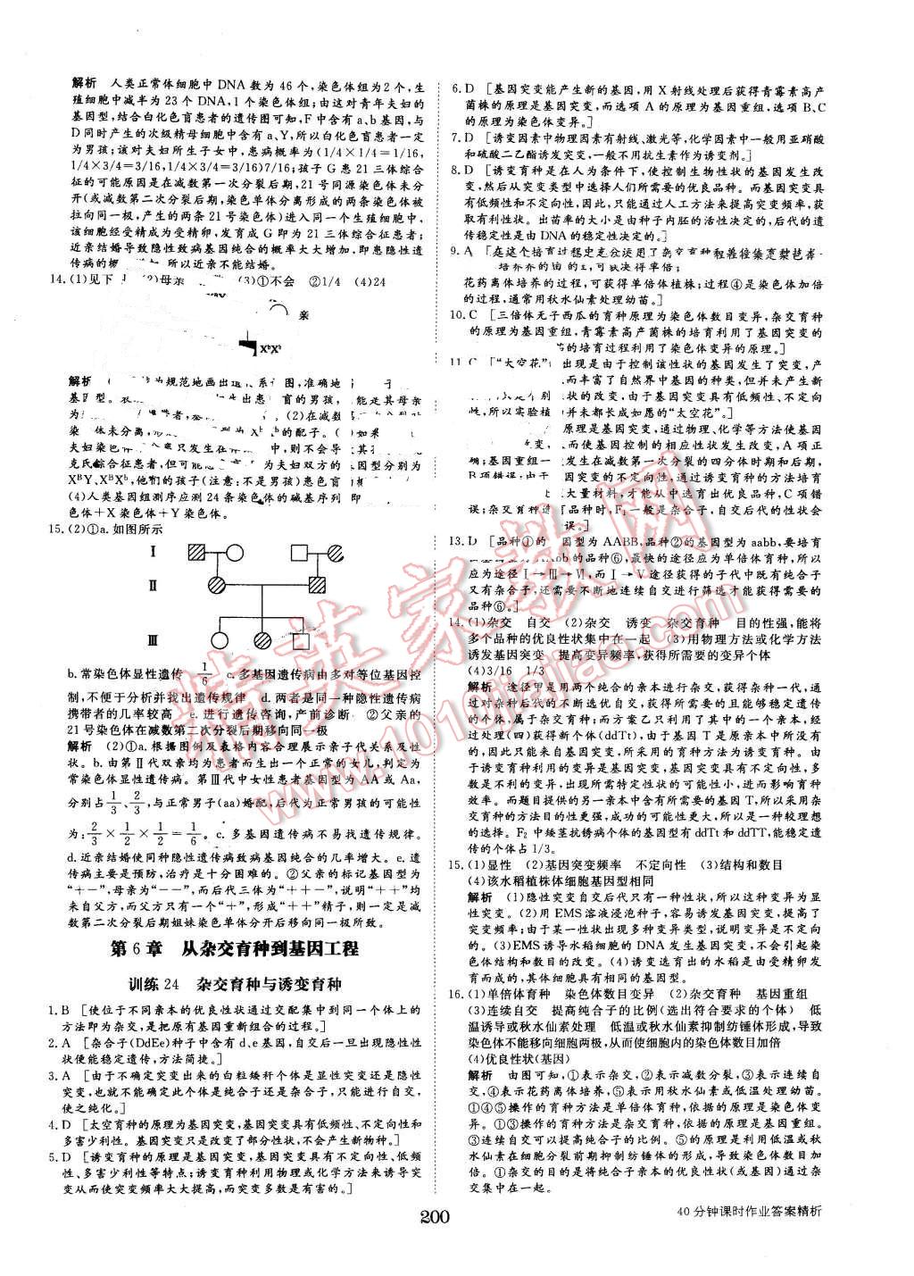 2015年步步高学案导学与随堂笔记生物必修2人教版 第28页