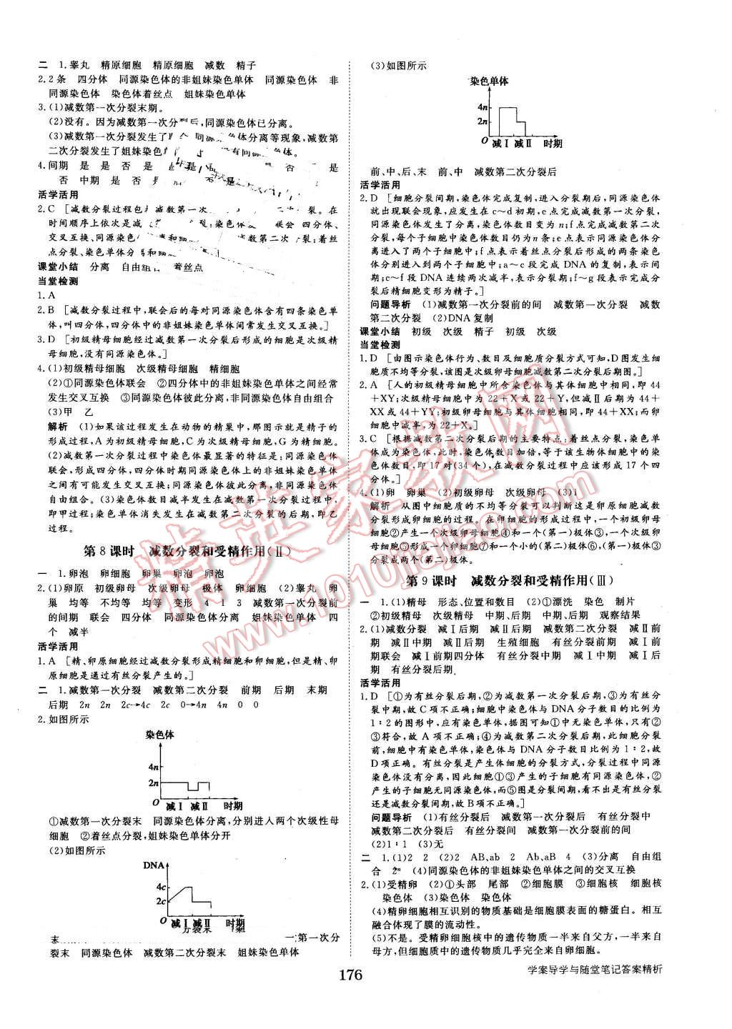 2015年步步高學(xué)案導(dǎo)學(xué)與隨堂筆記生物必修2人教版 第4頁