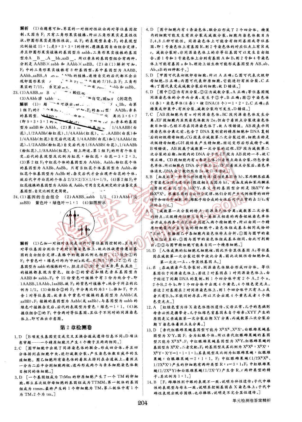 2015年步步高学案导学与随堂笔记生物必修2人教版 第32页