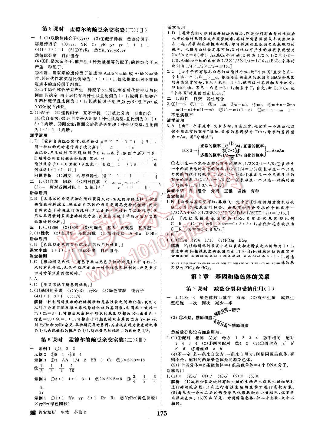 2015年步步高学案导学与随堂笔记生物必修2人教版 第3页