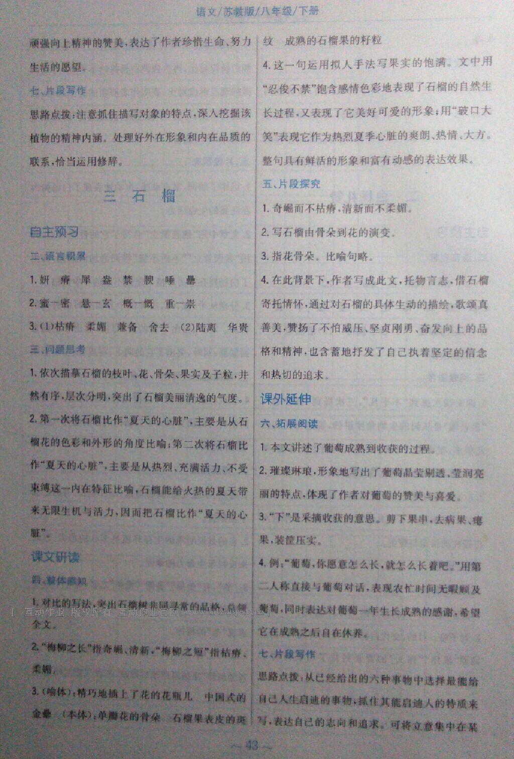 2016年新編基礎(chǔ)訓(xùn)練八年級語文下冊蘇教版 第48頁