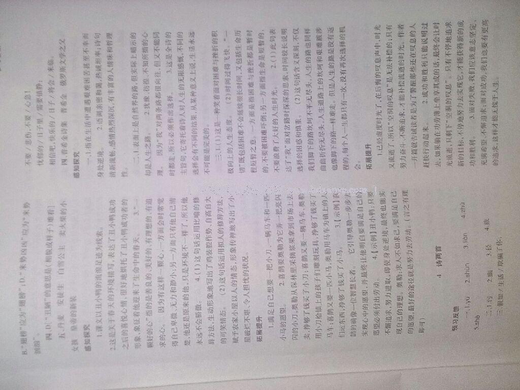 2015年基礎(chǔ)訓(xùn)練七年級(jí)語(yǔ)文下冊(cè)人教版僅限河南省使用大象出版社 第13頁(yè)