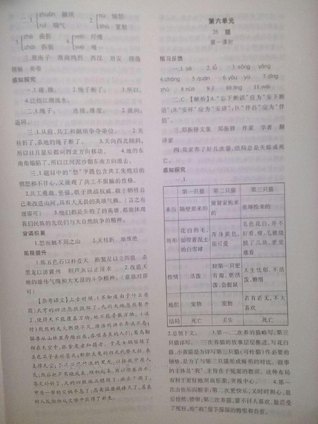 2015年基礎(chǔ)訓(xùn)練七年級(jí)語(yǔ)文下冊(cè)人教版僅限河南省使用大象出版社 第29頁(yè)