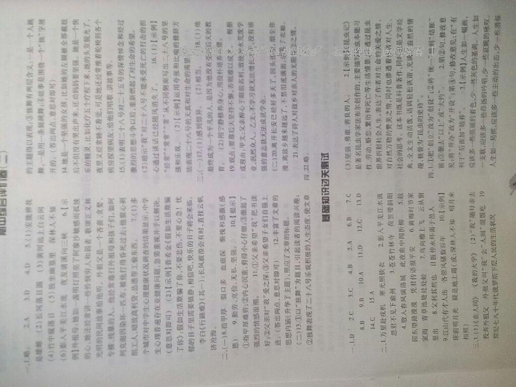 2015年基礎(chǔ)訓(xùn)練七年級(jí)語文下冊(cè)人教版僅限河南省使用大象出版社 第37頁