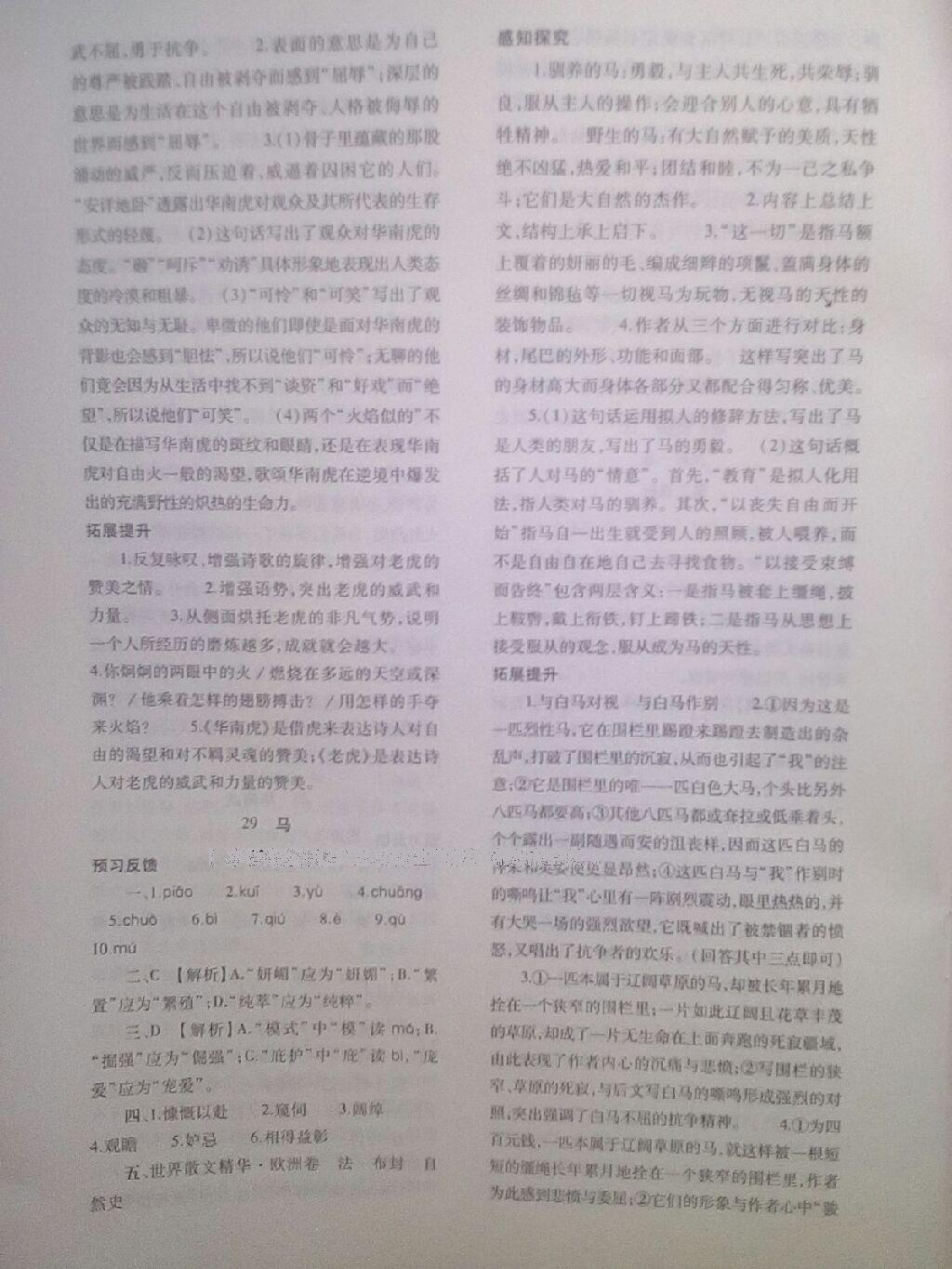 2015年基礎(chǔ)訓(xùn)練七年級(jí)語(yǔ)文下冊(cè)人教版僅限河南省使用大象出版社 第30頁(yè)