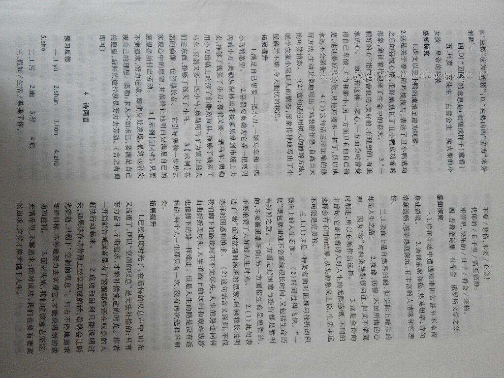 2015年基礎(chǔ)訓(xùn)練七年級(jí)語文下冊(cè)人教版僅限河南省使用大象出版社 第62頁(yè)