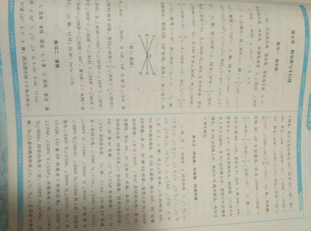 2016年課程基礎(chǔ)訓練七年級數(shù)學下冊人教版 第33頁