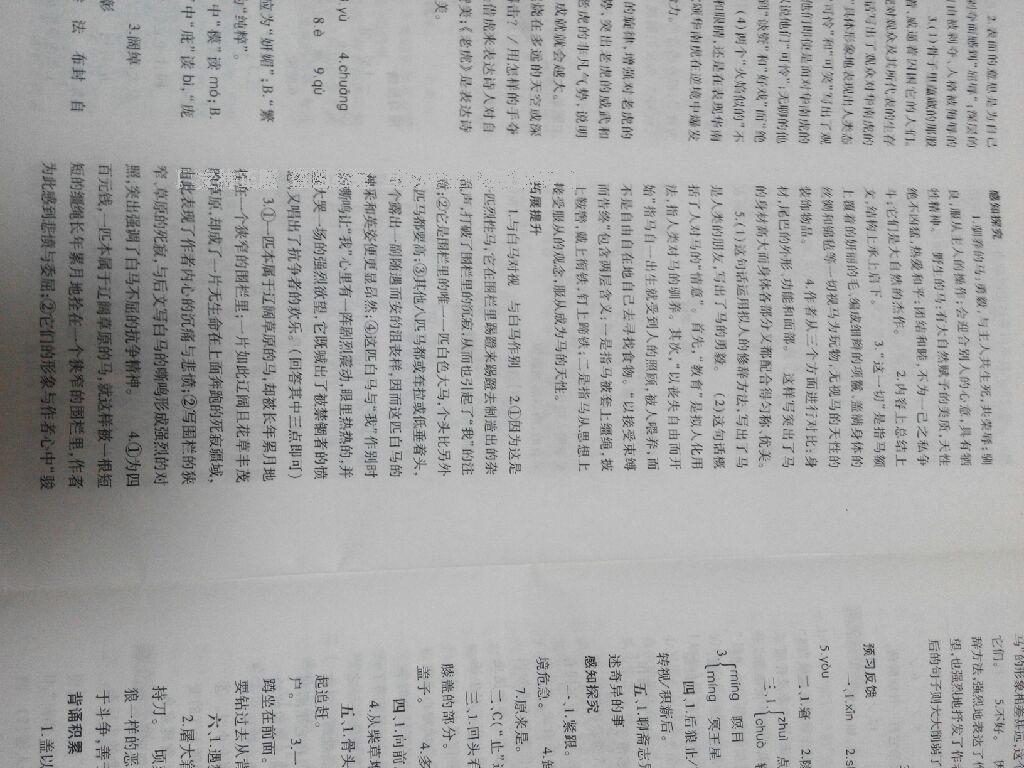 2015年基礎(chǔ)訓(xùn)練七年級語文下冊人教版僅限河南省使用大象出版社 第84頁