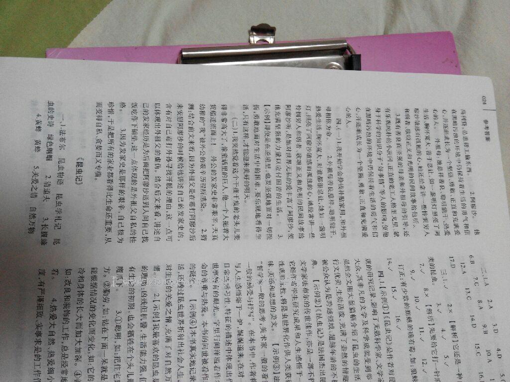 2015年基礎(chǔ)訓(xùn)練七年級語文下冊人教版僅限河南省使用大象出版社 第87頁