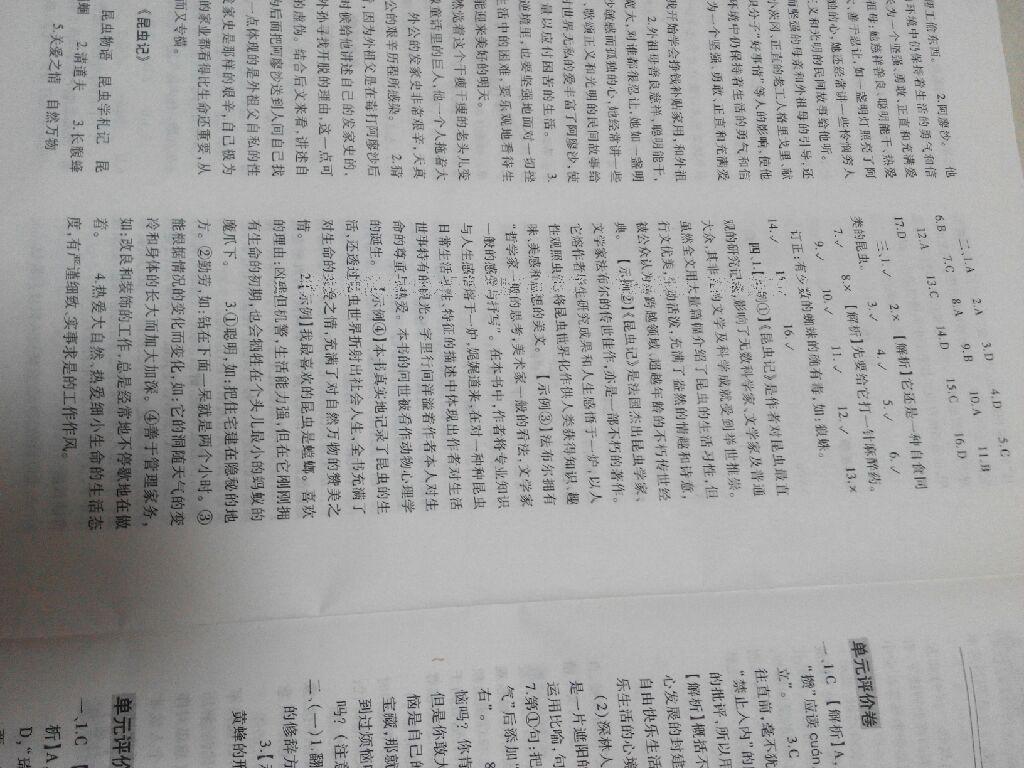 2015年基礎(chǔ)訓(xùn)練七年級語文下冊人教版僅限河南省使用大象出版社 第88頁