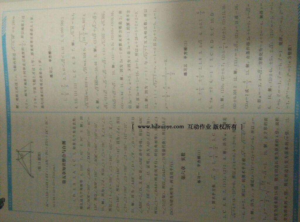 2016年課程基礎(chǔ)訓(xùn)練七年級(jí)數(shù)學(xué)下冊(cè)人教版 第36頁(yè)