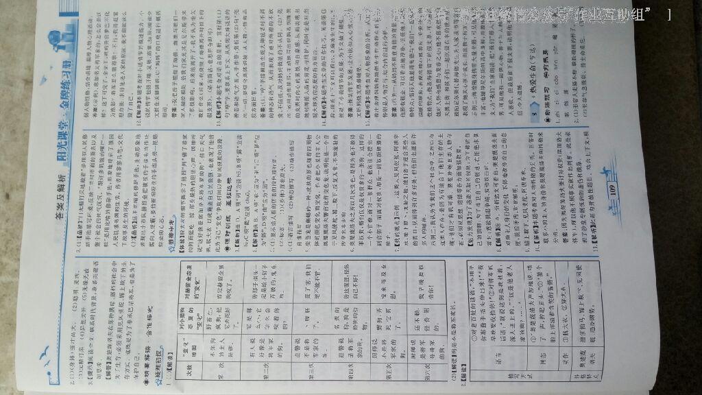 2016年陽(yáng)光課堂金牌練習(xí)冊(cè)九年級(jí)語(yǔ)文下冊(cè)人教版 第39頁(yè)