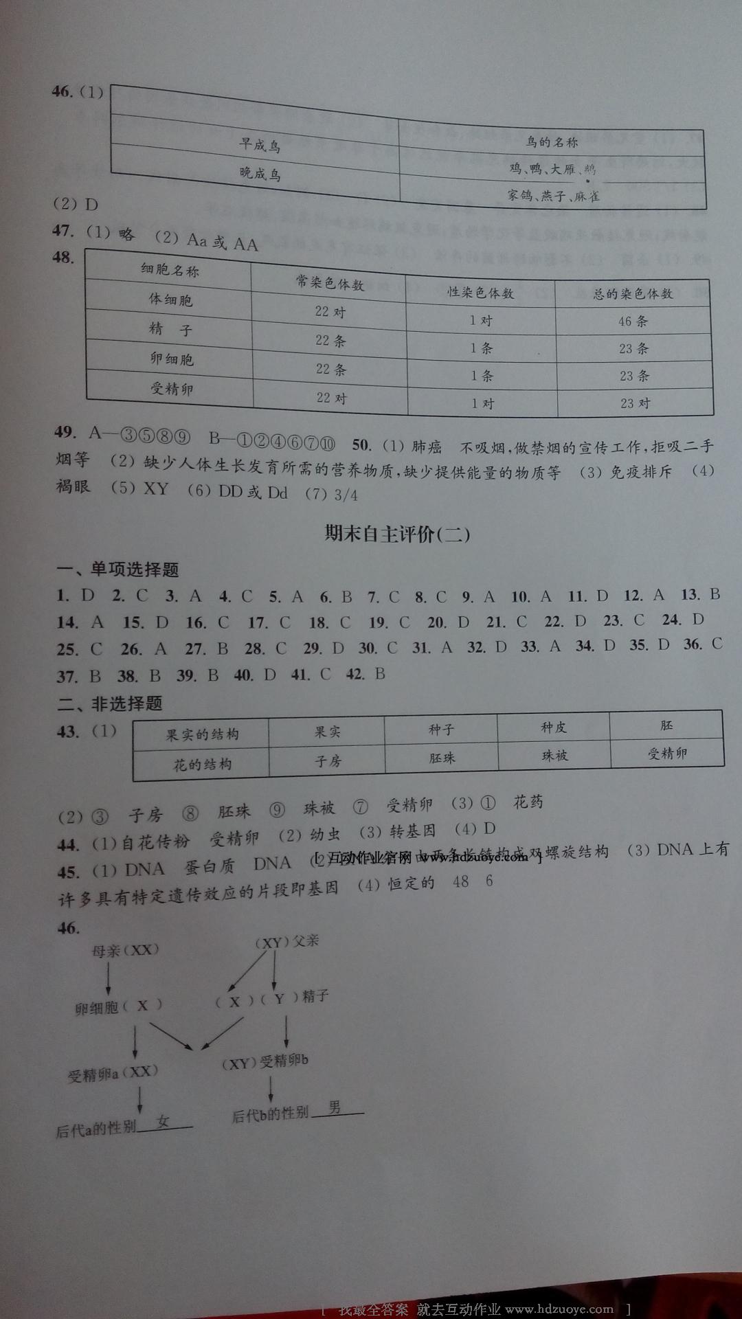 2016年學(xué)習(xí)與評(píng)價(jià)八年級(jí)生物學(xué)下冊(cè)蘇教版江蘇鳳凰教育出版社 第23頁