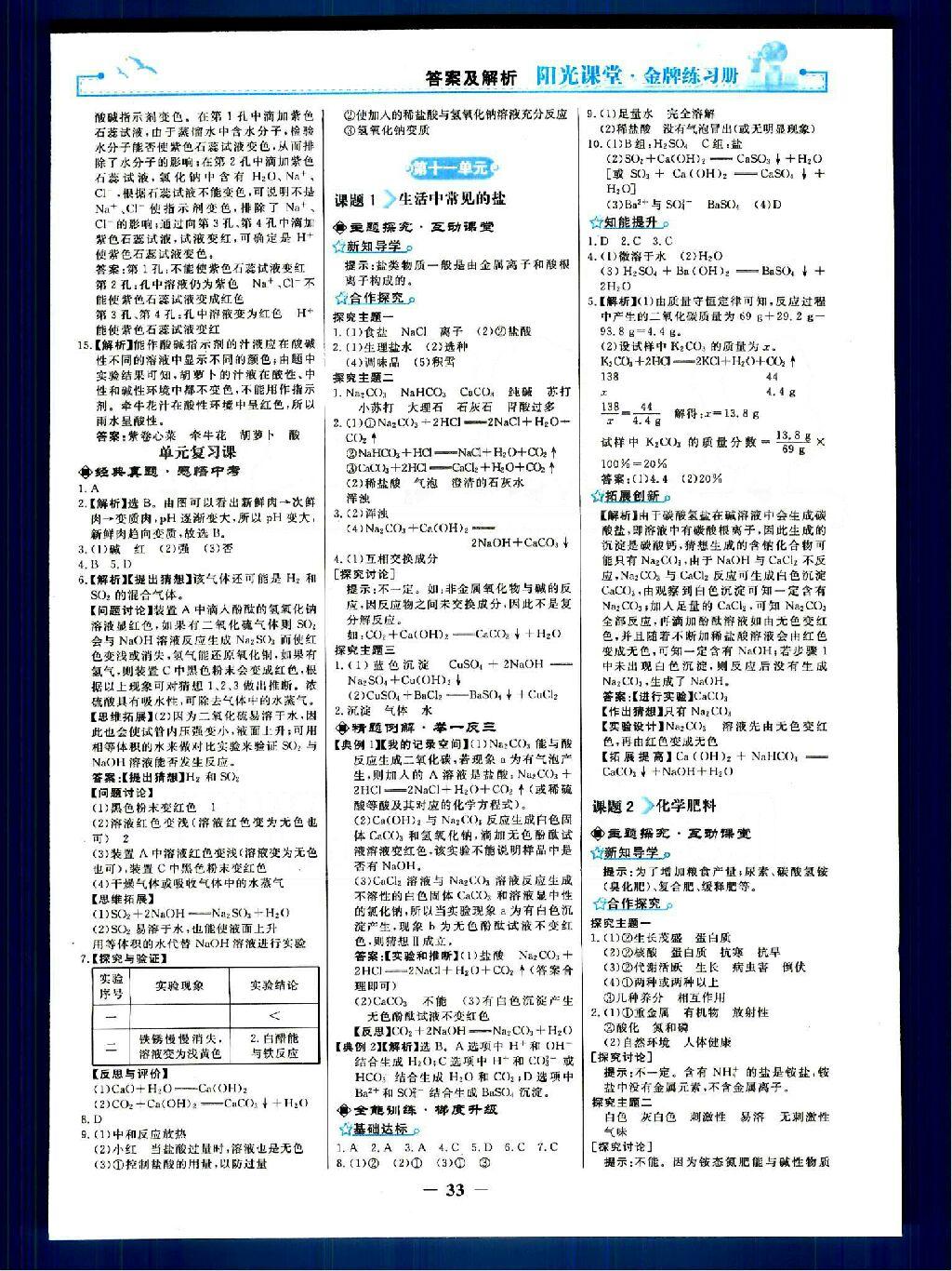 2015年陽光課堂金牌練習冊九年級化學下冊人教版 第23頁