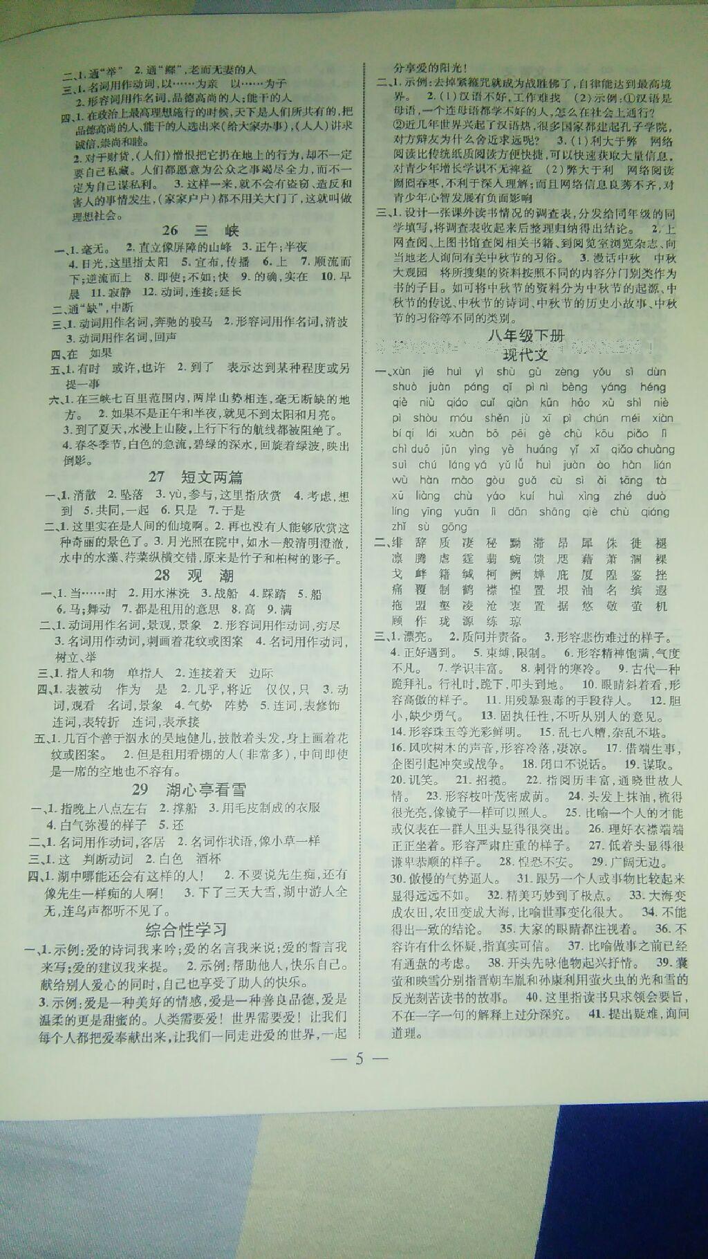 2016年陜西中考總復(fù)習(xí)優(yōu)化指導(dǎo)語(yǔ)文人教版 第10頁(yè)