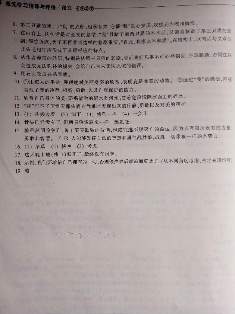 2015年单元学习指导与评价七年级语文下册 第23页