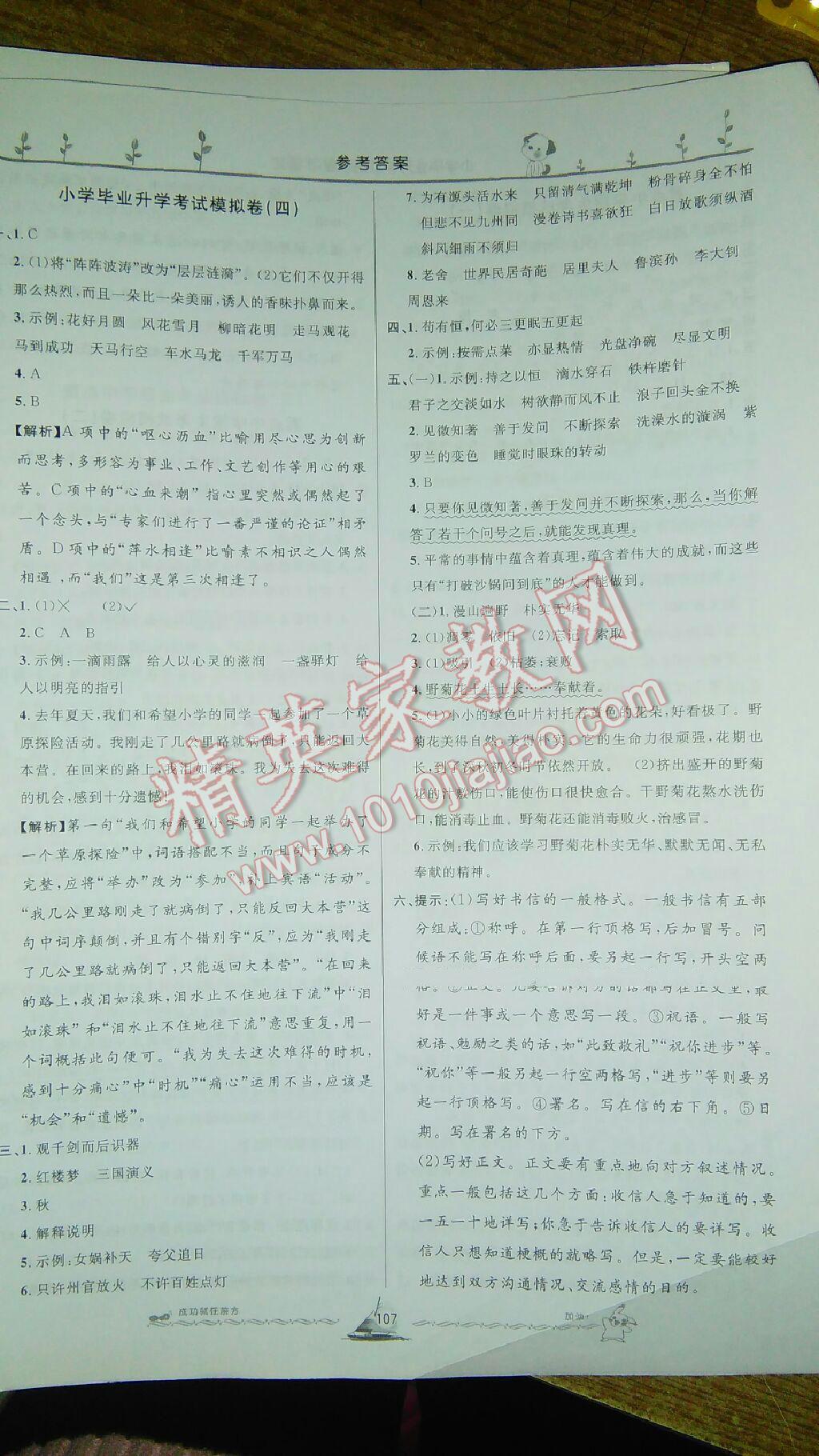 小学毕业升学系统总复习语文 第19页