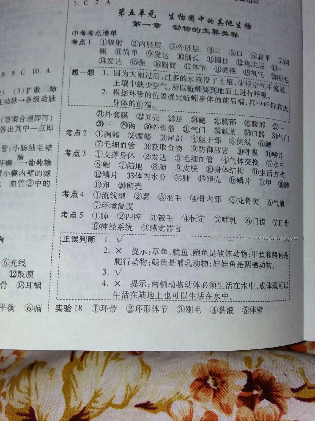 2015年中考面對(duì)面初中學(xué)業(yè)水平考試生物人教版 第22頁(yè)