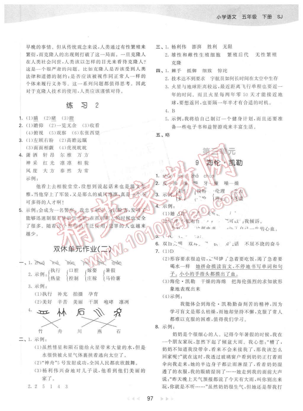 2016年53天天练小学语文五年级下册苏教版 第5页