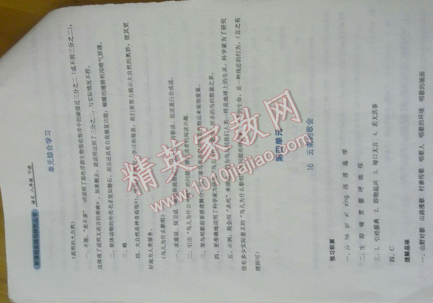 2016年新课程实践与探究丛书八年级语文下册人教版 第13页