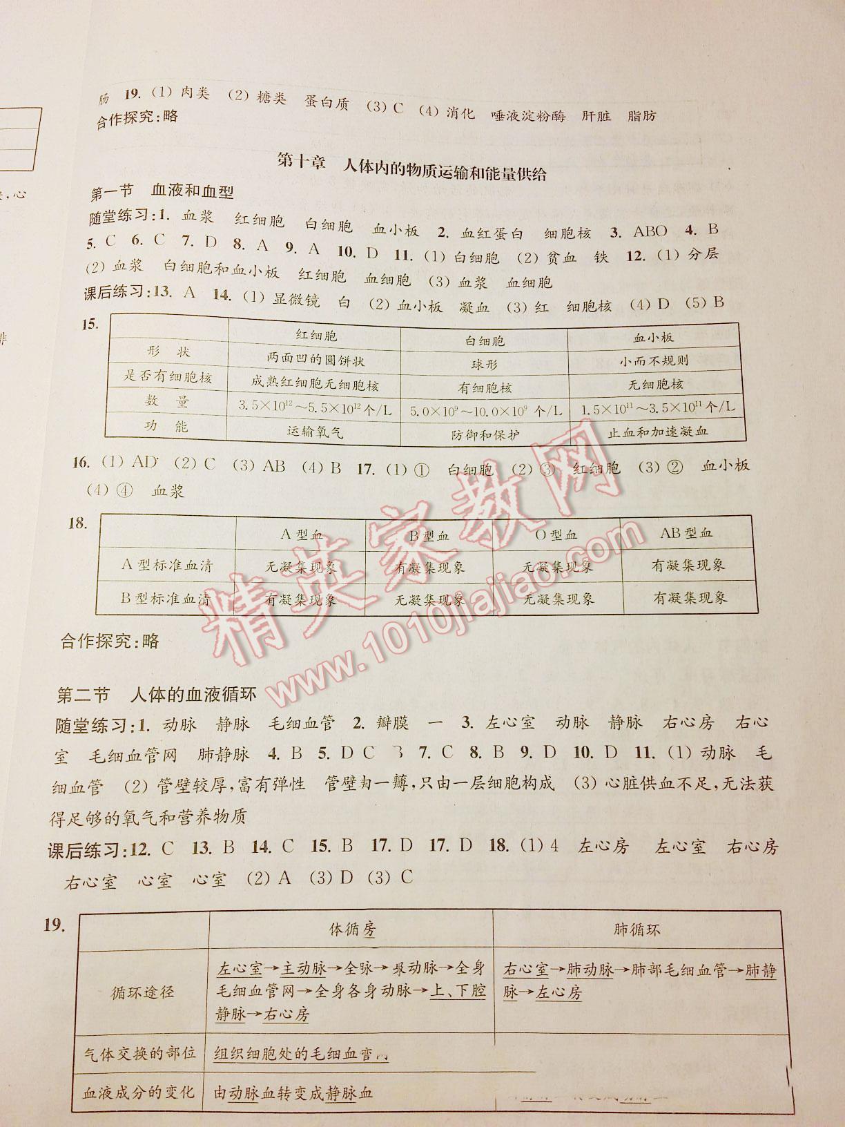 2015年學(xué)習(xí)與評(píng)價(jià)七年級(jí)生物學(xué)下冊(cè)蘇教版江蘇鳳凰教育出版社 第31頁(yè)