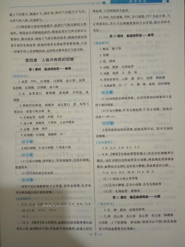 2015年绩优学案七年级生物下册人教版 第31页