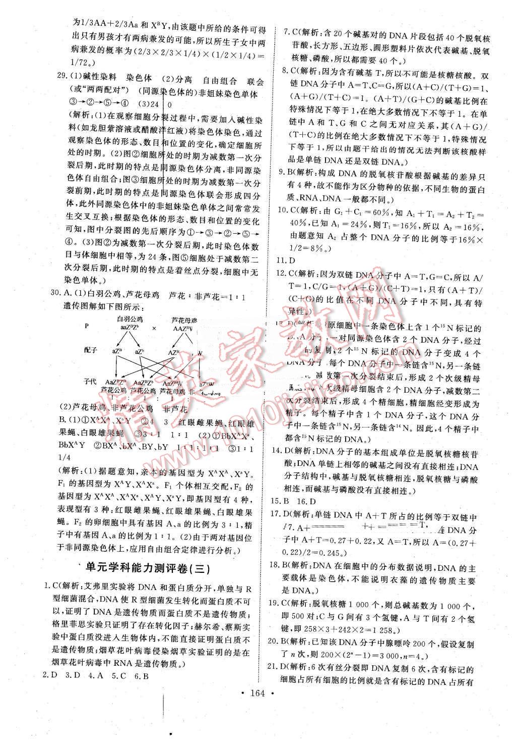 2016年能力培養(yǎng)與測試生物必修2人教版 第29頁