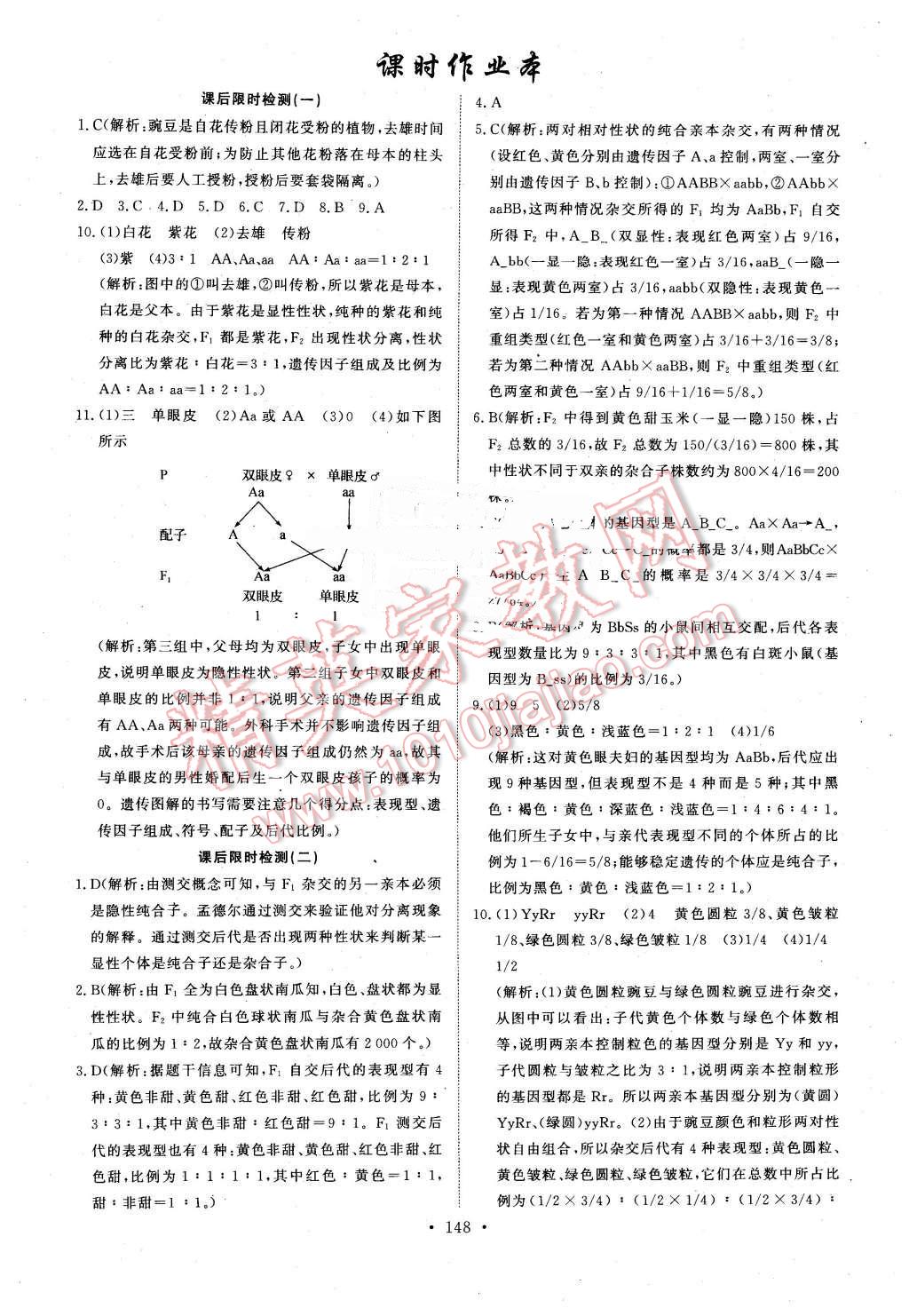 2016年能力培養(yǎng)與測(cè)試生物必修2人教版 第13頁(yè)