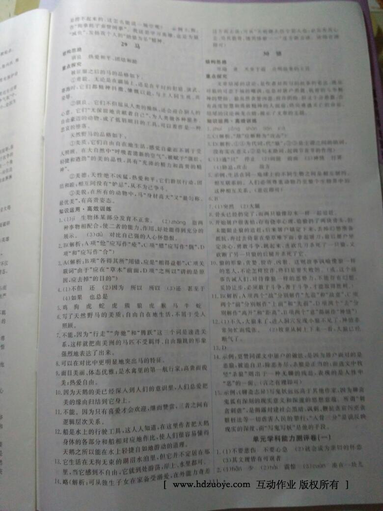 2015年能力培養(yǎng)與測(cè)試七年級(jí)語(yǔ)文下冊(cè)人教版 第47頁(yè)