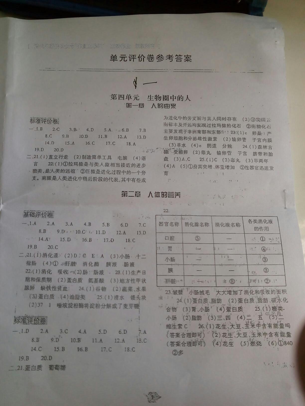 2016年基础训练七年级生物学下册人教版河南省内使用 第27页