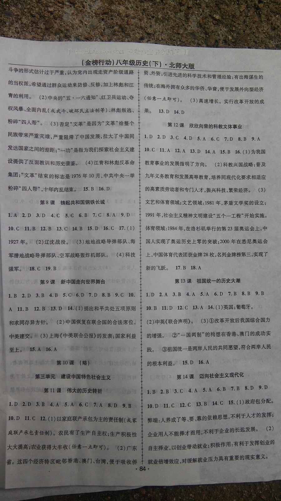 2016年金榜行動(dòng)課時(shí)導(dǎo)學(xué)案八年級歷史下冊北師大版 第10頁