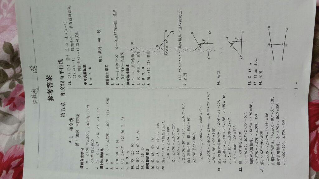 2015年南粵學典學考精練七年級數(shù)學下冊人教版 第31頁