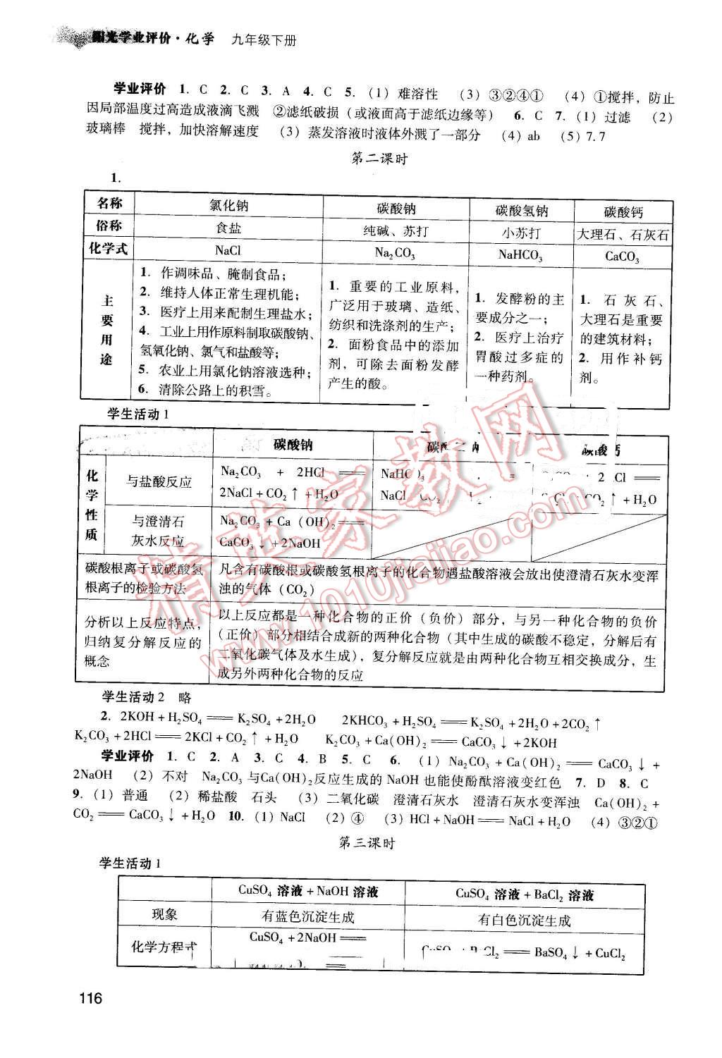 2016年陽光學(xué)業(yè)評(píng)價(jià)九年級(jí)化學(xué)下冊(cè)人教版 第13頁