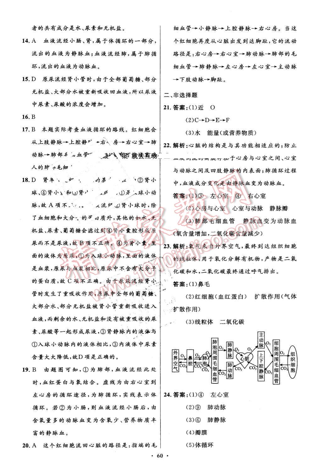 2016年初中同步测控优化设计七年级生物学下册人教版 第28页