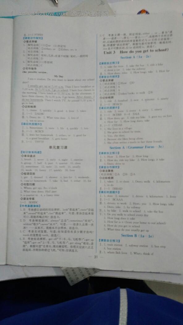 2016年同步导学案课时练七年级英语下册人教版 第24页