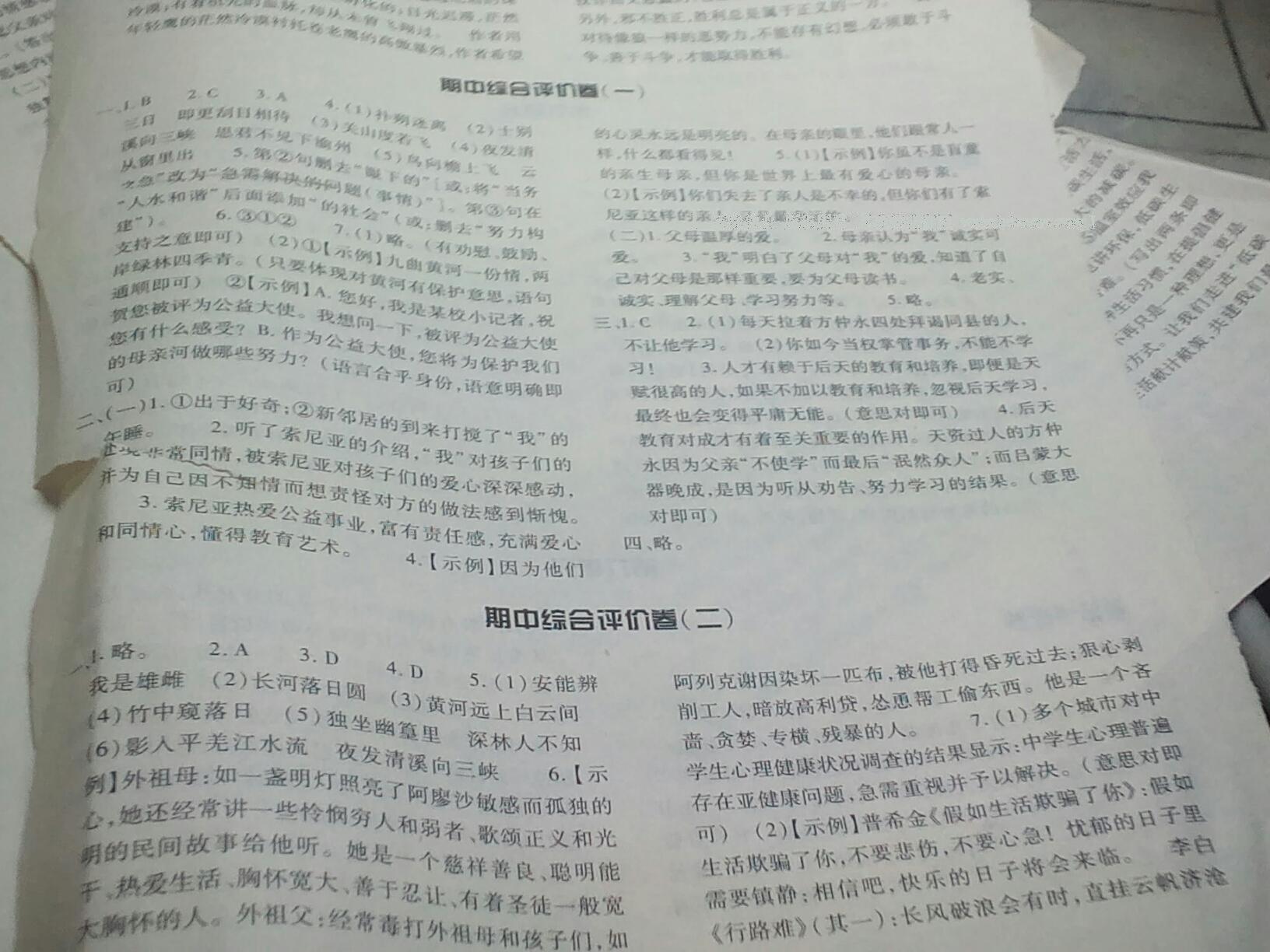 2015年基礎(chǔ)訓(xùn)練七年級語文下冊人教版僅限河南省使用大象出版社 第110頁